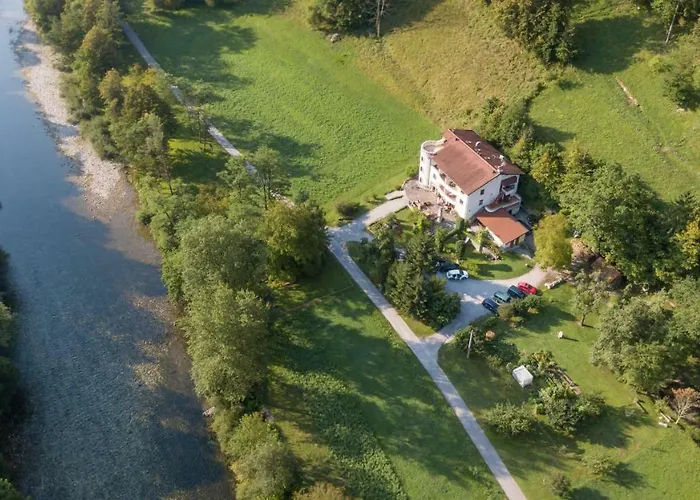 Zlata Ribica מוסט נה סוסי