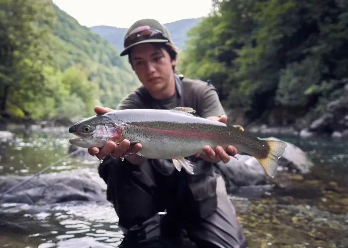 Zlata Ribica מלון מוסט נה סוסי