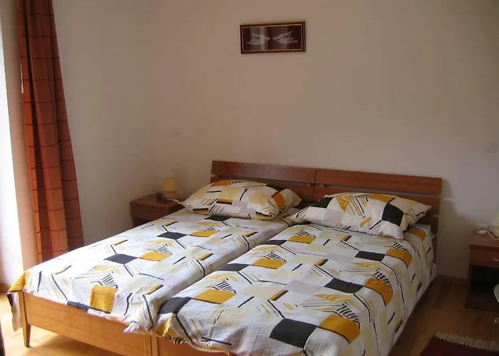 Hotel Zlata Ribica 3*