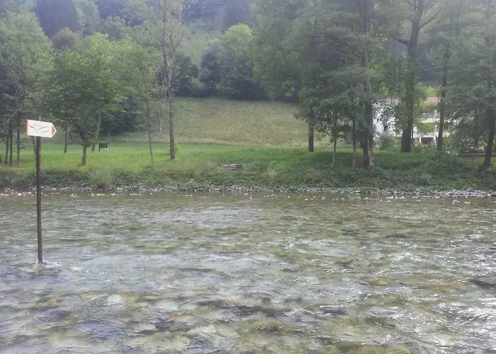 מלון Zlata Ribica